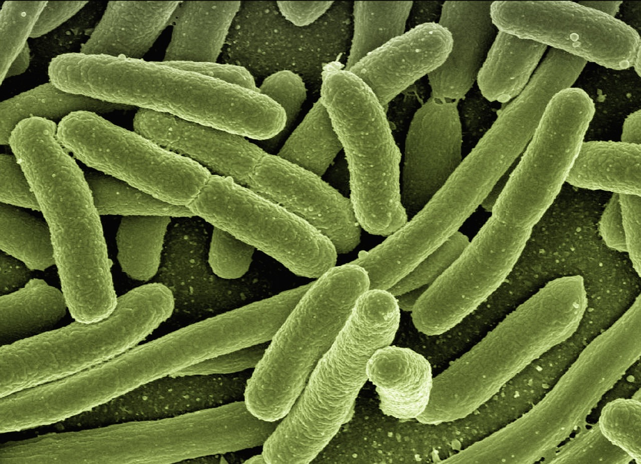 Deadly Flesh-Eating Bacteria Cases Soar